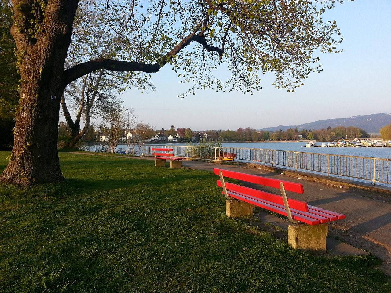 传统强国在 传统强国在