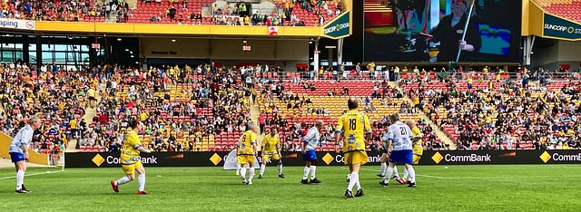 策略和科学 策略和科学