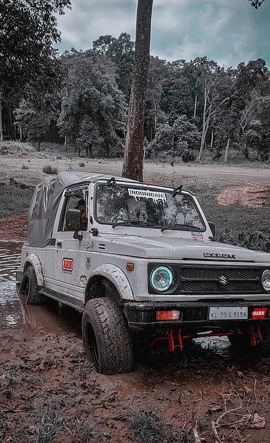 也反映了在 也反映了在