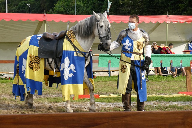 火箭队则需 火箭队则需